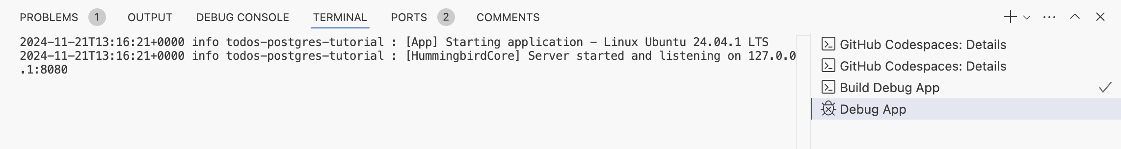 Logs indicating the app started Logs indicating the app started