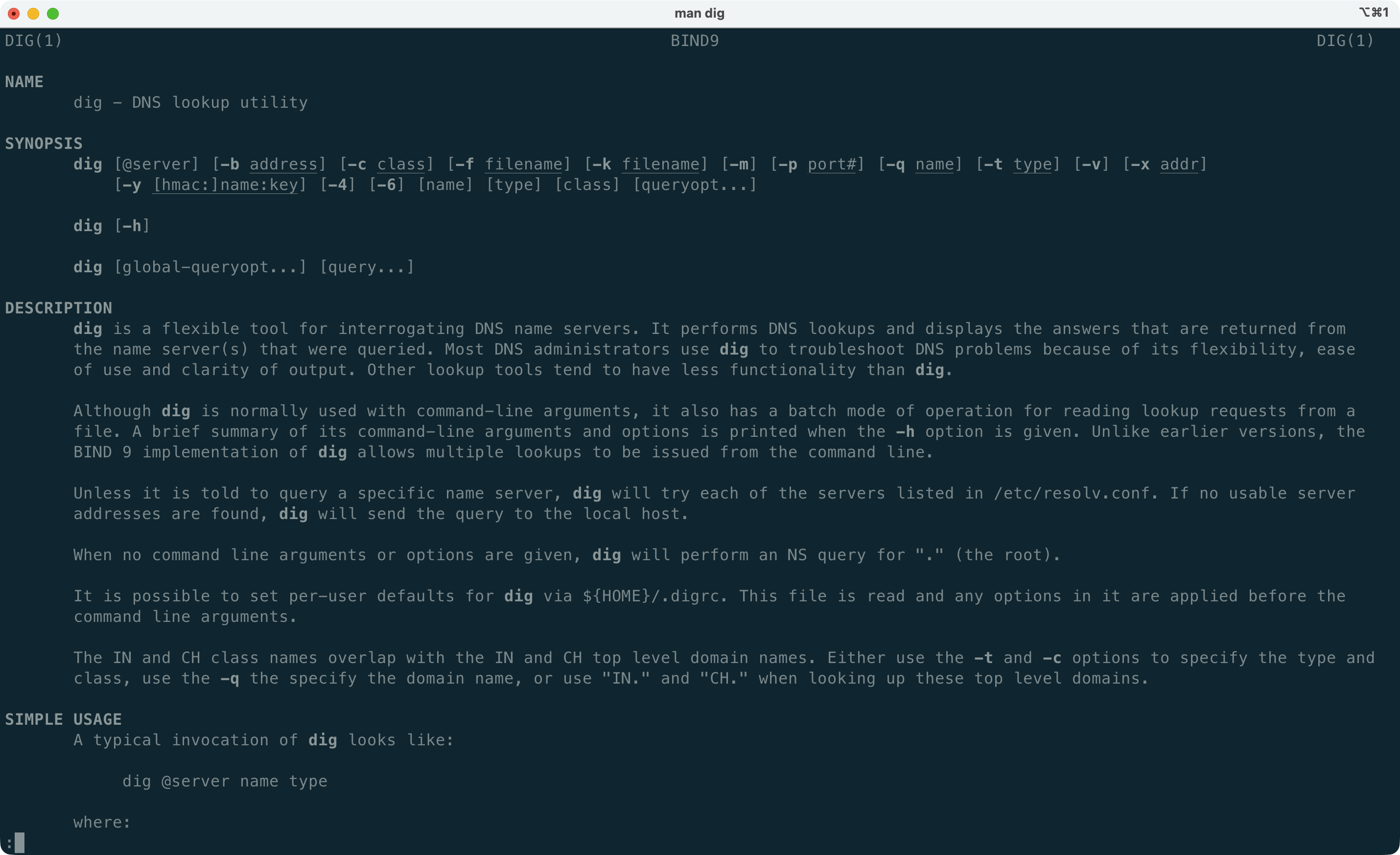 The manual page for the dig command The manual page for the dig command